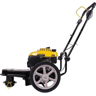 вид модели газонокосилка бензиновая champion lmh5640